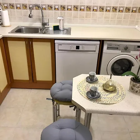 Apartment Cozy And Modern Flat Near Bosphorus At Arnavutkoey Istanbul