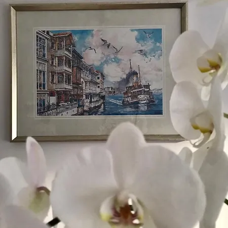 Apartment Cozy And Modern Flat Near Bosphorus At Arnavutkoey Istanbul