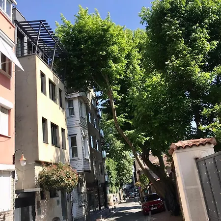 Cozy And Modern Flat Near Bosphorus At Arnavutkoey Apartamento Estambul