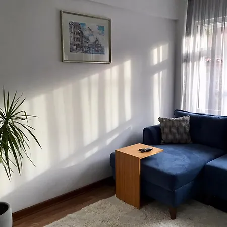 Cozy And Modern Flat Near Bosphorus Appartement